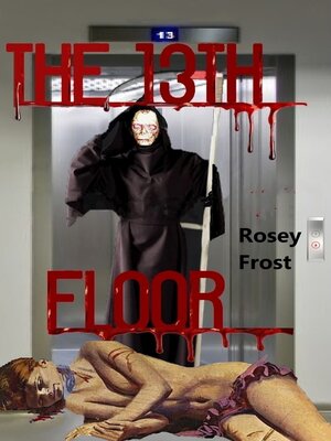 cover image of The 13th Floor